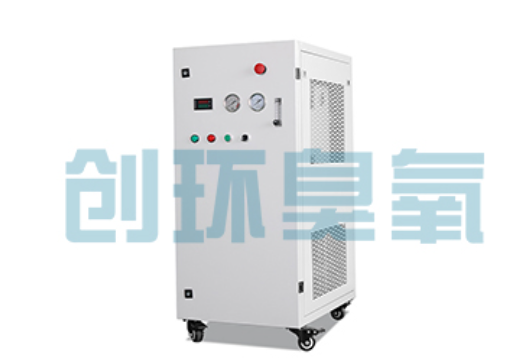 荆州石斑鱼养殖水质调控完整指南:臭氧发生器配置与操作步骤