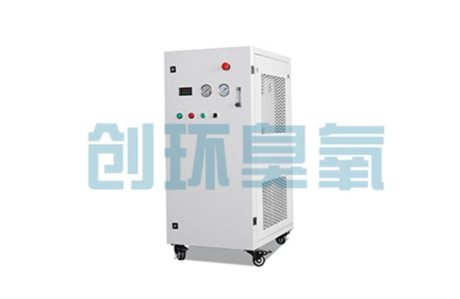 荆州比传统换水更高效?臭氧发生器在石斑鱼养殖中的水质净化原理解析